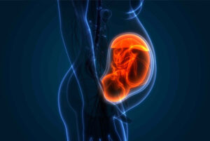 جفت جنین چیست %%sep%% دفع جفت بعد از سقط %%sep%% دفع بقایا بدون کورتاژ %%sep%% آیا بقایای سقط با پریود بعدی می افتد %%sep%% بقایای سقط چه شکلی است